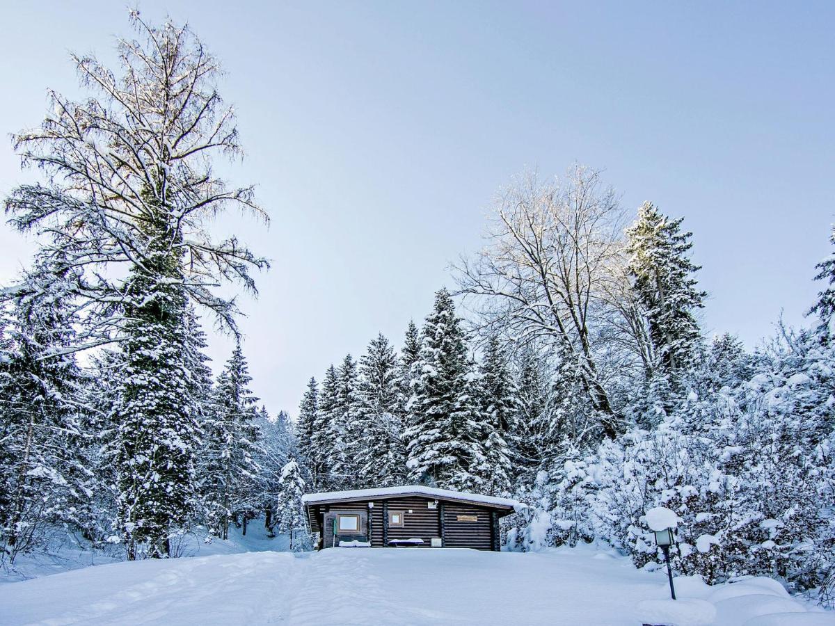 Chalet In Woergl Near Skiwelt Wilder Kaiser Salvenberg Eksteriør billede